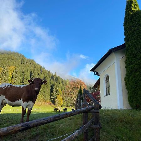 Vila Moabauer Wagrain Exteriér fotografie