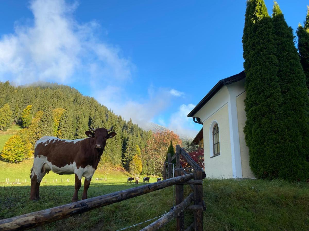 Vila Moabauer Wagrain Exteriér fotografie
