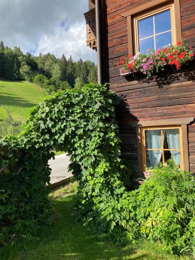 Vila Moabauer Wagrain Exteriér fotografie